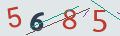 verifycode
